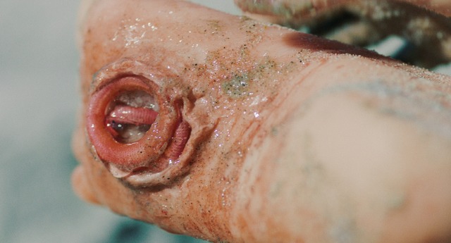 『ザ・ビーチ』（C）2019 Bad Oyster LLC All Right Reserved.