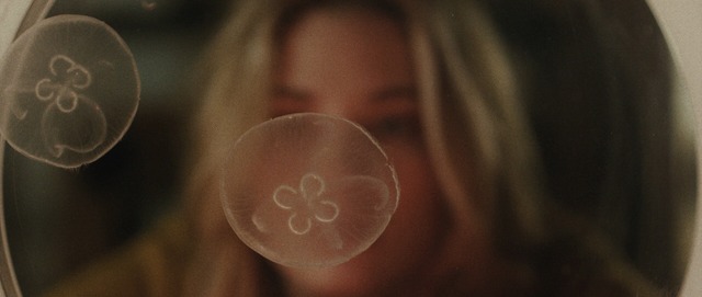 『スターフィッシュ』（C）2018 Starfish Productions,LLC. All Rights Reserved.