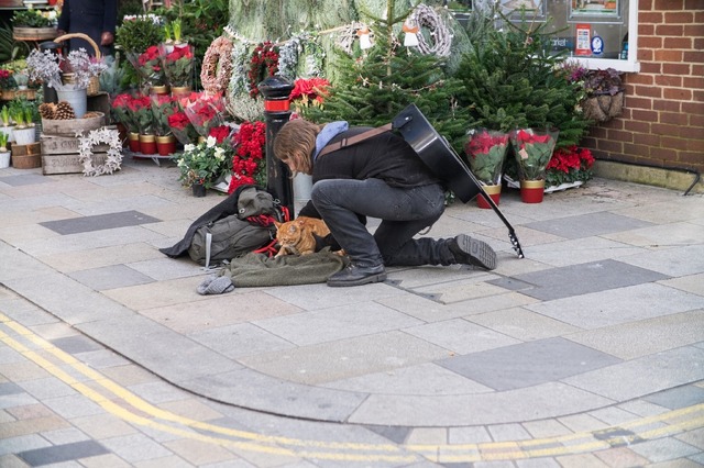 『ボブという名の猫2』（C） 2020 A GIFT FROM BOB PRODUCTION LTD. ALL RIGHTS RESERVED.