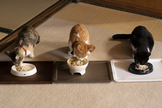 「ねこ物件」チャー、シシマル、ひげ　(C)2022「ねこ物件」製作委員会