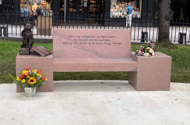 【インタビュー】「ボブがなぜ僕を選んでくれたのか、毎日考えている」『ボブという名の猫』原作者が語る思い出