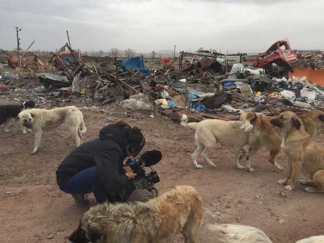 『ストレイ 犬が見た世界』メイキング　(C)2020 THIS WAS ARGOS,LLC