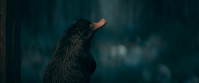 『ファンタスティック・ビーストとダンブルドアの秘密』（C） 2021 Warner Bros. Ent. All Rights Reserved<br>Wizarding WorldTM Publishing Rights （C） J.K. Rowling<br>WIZARDING WORLD and all related characters and elements are trademarks of and （C） Warner Bros. Entertainment Inc.