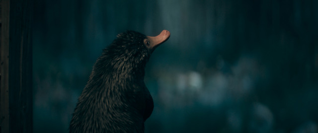 『ファンタスティック・ビーストとダンブルドアの秘密』（C） 2022 Warner Bros. Ent. All Rights Reserved<br>Wizarding WorldTM Publishing Rights （C） J.K. Rowling<br>WIZARDING WORLD and all related characters and elements are trademarks of and （C） Warner Bros. Entertainment Inc.