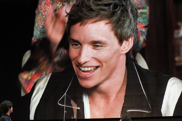 リモートで参加したエディ・レッドメイン／『ファンタスティック・ビーストとダンブルドアの秘密』ライトアップ・ファンナイト