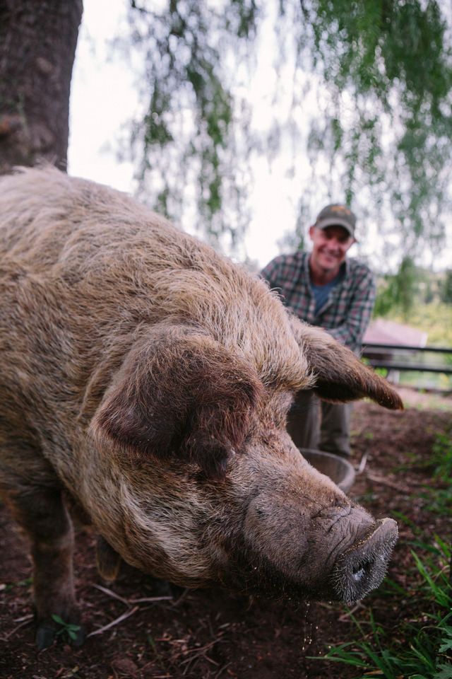 『ビッグ・リトル・ファーム リターンズ』（C）2022 NGC Network US, LLC. All rights reserved.