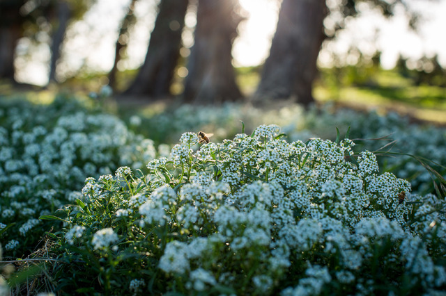 『ビッグ・リトル・ファーム リターンズ』（C）2022 NGC Network US, LLC. All rights reserved.