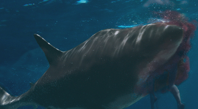 『海上48hours ―悪夢のバカンス―』（C）Vitality Jetski Limited 2021