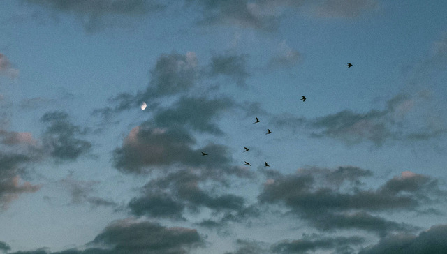 映画公開記念写真展　『流浪の月』(C) Hong Kyung Pyo