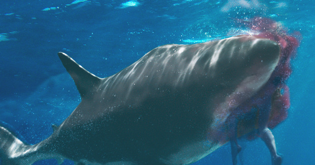 『海上48hours ―悪夢のバカンス―』（C）Vitality Jetski Limited 2021