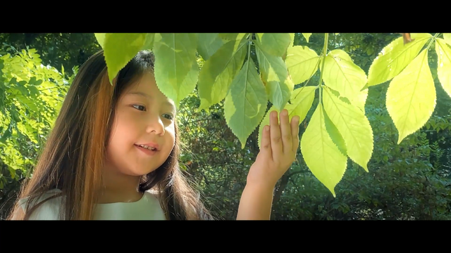 『未来への贈り物』（Present for Future)