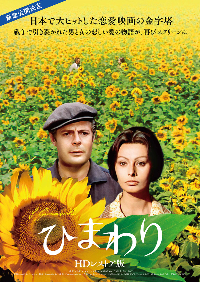 『ひまわり　50周年ＨＤレストア版』（C） 1970 – COMPAGNIA CINEMATOGRAFICA CHAMPION(IT) – FILMS CONCORDIA(FR) – SURF FILM SRL, ALL RIGHTS RESERVED.TM & （C） TOHO CINEMAS LTD. ALL RIGHTS RESERVED