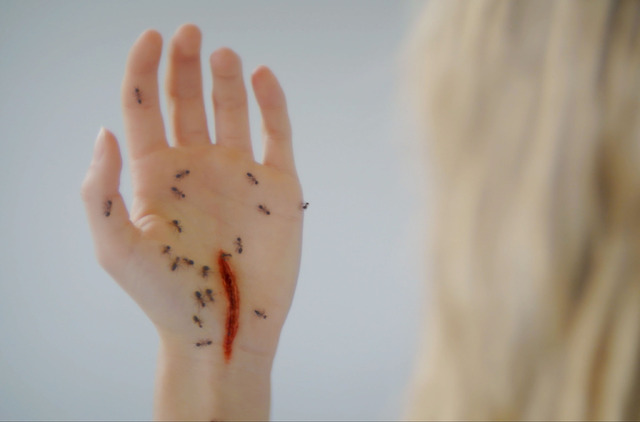 『地下室のヘンな穴』（C） ATELIER DE PRODUCTION - ARTE FRANCE CINÉMA - VERSUS PRODUCTION – 2022