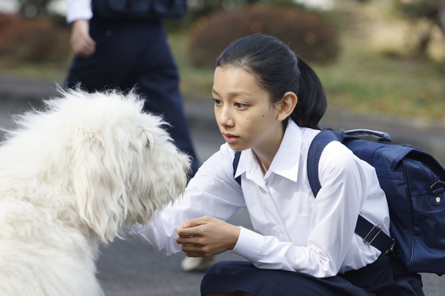 映画 ハウ 話題の俳優犬ベックの全力ダッシュや佇む 演技 も 撮影風景を入手 Cinemacafe Net 映画 ハウ 話題の俳優犬ベックの全力ダッシュや佇む 演技 も 撮影風景を入手 Cinemacafe Net