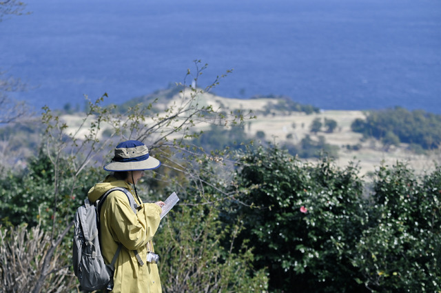 「結婚するって、本当ですか」（C）若木民喜・小学館/2022 結婚するって、本当ですか製作委員会