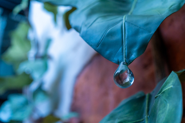 ジブリがいっぱい展　(c) Studio Ghibli