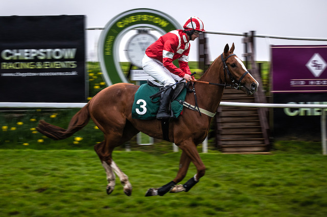 『ドリーム・ホース』 © 2020 DREAM HORSE FILMS LIMITED AND CHANNEL FOUR TELEVISION CORPORATION