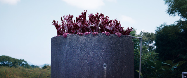 『カラダ探し』（C）2022「カラダ探し」製作委員会