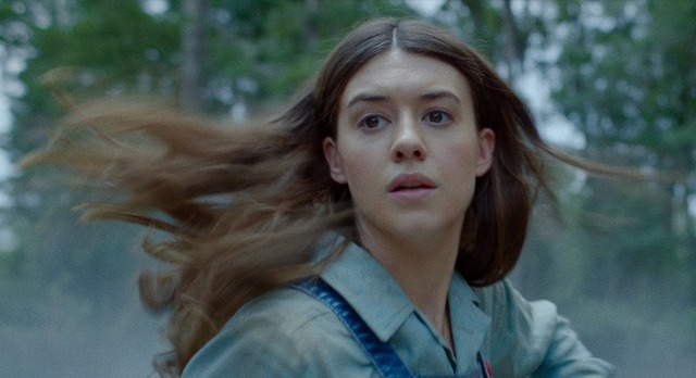 『ザリガニの鳴くところ』