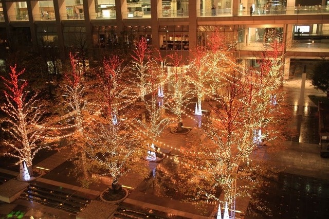 森のイルミネーション