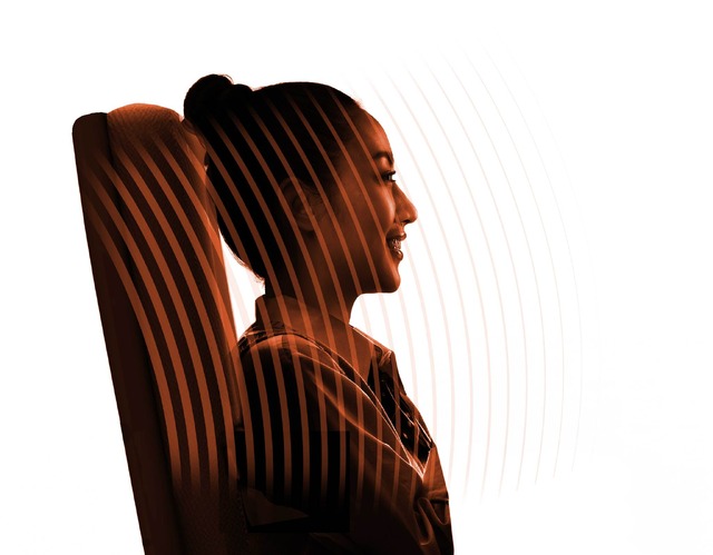 音響体感プレミアムシート「FLEXOUND Augmented Audio」