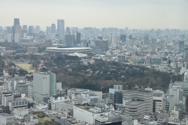 「東急歌舞伎町タワー」工事現場写真