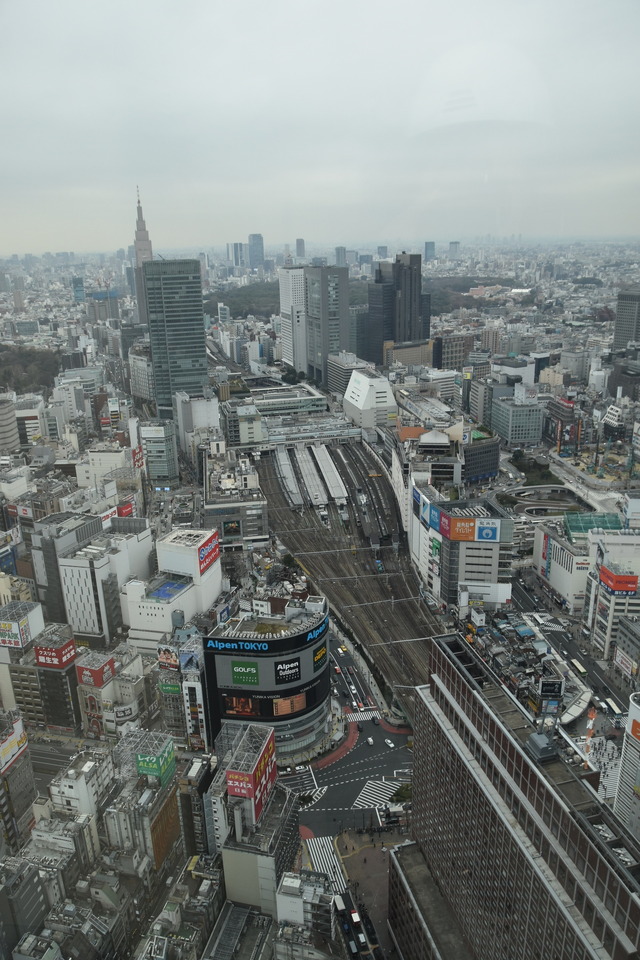 「東急歌舞伎町タワー」工事現場写真