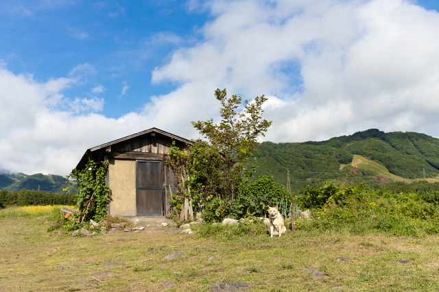 『土を喰らう十二ヵ月』©2022『土を喰らう十二ヵ月』製作委員会