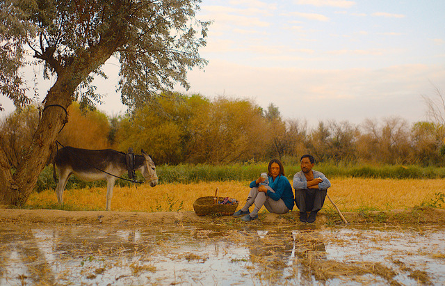 『小さき麦の花』©2022 Qizi Films Limited, Beijing J.Q. Spring Pictures Company Limited. All Rights Reserved.