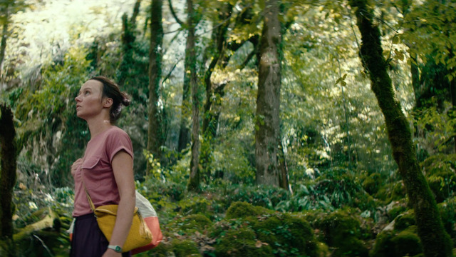 『獣を解き放て』