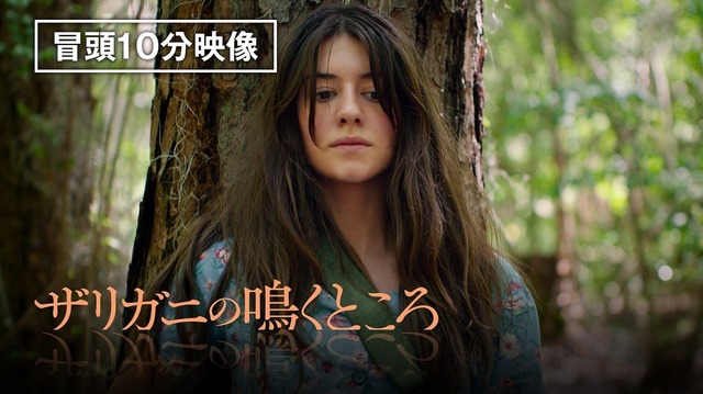 『ザリガニの鳴くところ』© 2022 Columbia Pictures Industries, Inc. and TSG Entertainment II LLC. All Rights Reserved.