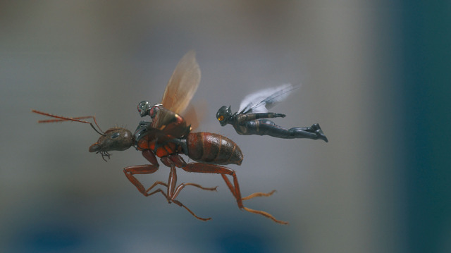 『アントマン＆ワスプ』ディズニープラスで配信中(c)2023 Marvel