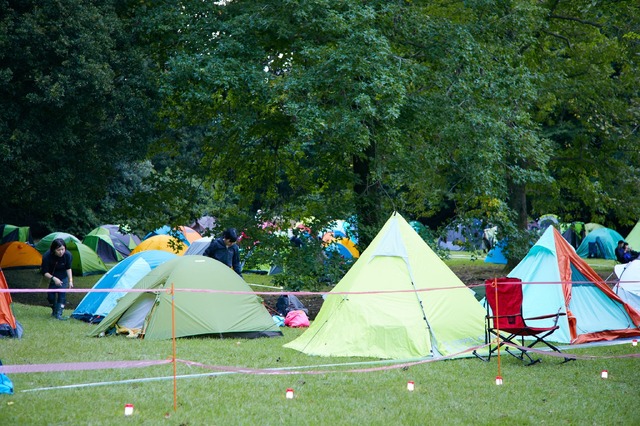 夜空と交差する森の映画祭2023開催決定