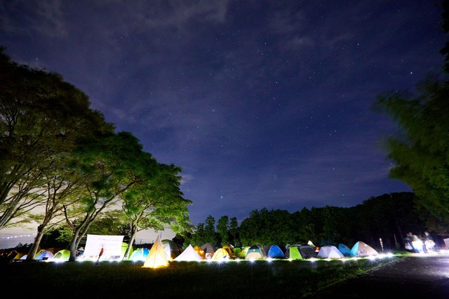 夜空と交差する森の映画祭2023開催決定
