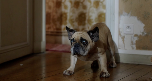 『カタラクトぼやけた世界』