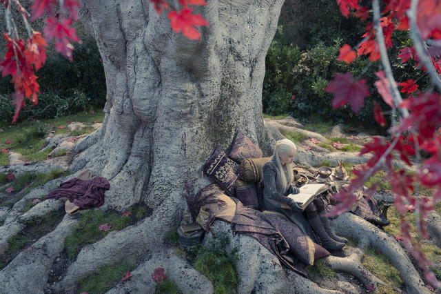 「ハウス・オブ・ザ・ドラゴン<シーズン1>」House of the Dragon © 2022 Home Box Office, Inc. All rights reserved. HBO® and related channels and servicemarks are the property of Home Box Office, Inc. © 2022 Warner Bros. Entertainment Inc. All rights reserved.