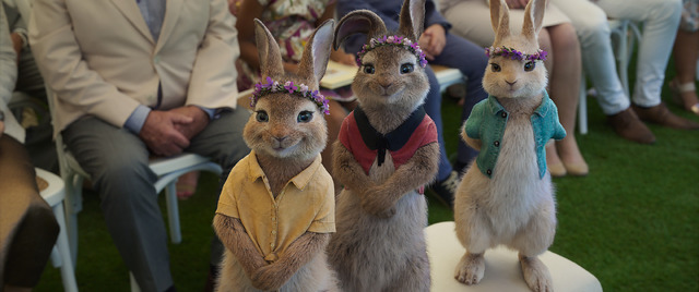 金曜ロードショー『ピーターラビット２／バーナバスの誘惑』© 2021 Columbia Pictures Industries, Inc., 2.0 Entertainment Borrower, LLC and MRC II Distribution Company L.P. All Rights Reserved.