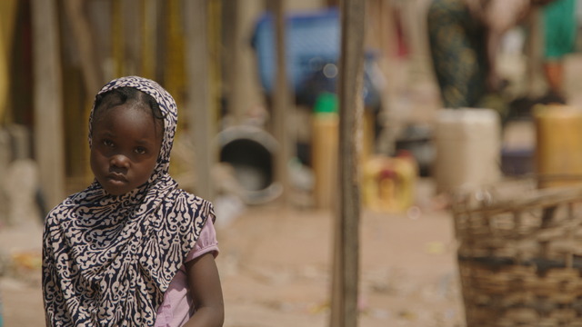 『グレート・グリーン・ウォール』© GREAT GREEN WALL, LTD