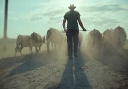 『EO イーオー』© 2022 Skopia Film, Alien Films, Warmia-Masuria Film Fund/Centre for Education and Cultural Initiatives in Olsztyn, Podkarpackie Regional Film Fund, Strefa Kultury Wrocław, Polwell, Moderator Inwestycje, Veilo ALL RIGHTS RESERVED