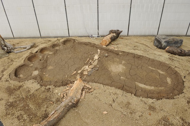 巨人の足跡（『ジャックと天空の巨人』特別企画「ジャックが銀座をジャック!!」 ）