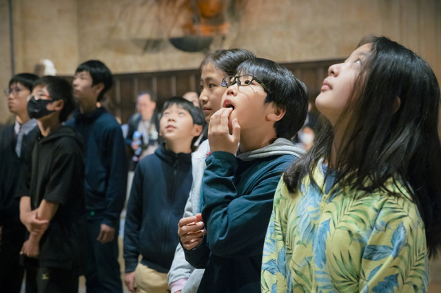 「ワーナー ブラザース スタジオツアー東京 ‐ メイキング・オブ・ハリー・ポッター」‘Wizarding World’ and all related names, characters and indicia are trademarks of and © WarnerBros. Entertainment Inc. – Wizarding World publishing rights © J.K. Rowling.