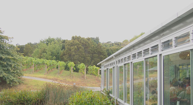 Brick Bayのカフェ＆ぶどう畑