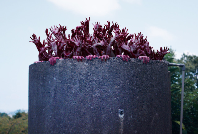 『カラダ探し』©2022「カラダ探し」製作委員会