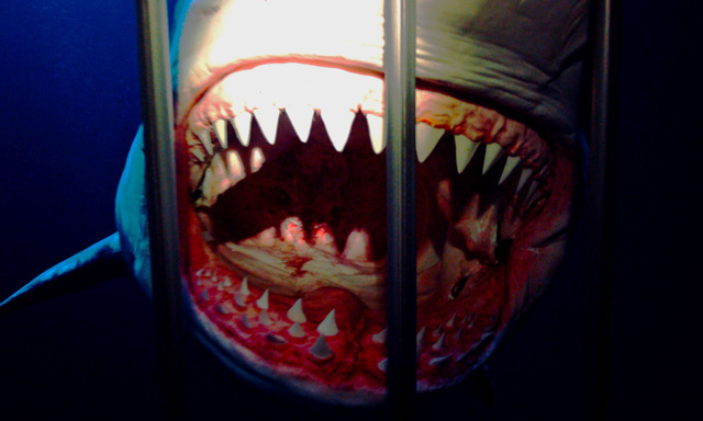 『シャーク・ド・フランス』© BAXTER FILMS - LES FILMS VELVET - FRANCE 3 CINÉMA - 2022