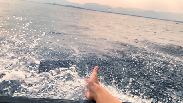 『2月1日』©︎ Panorama