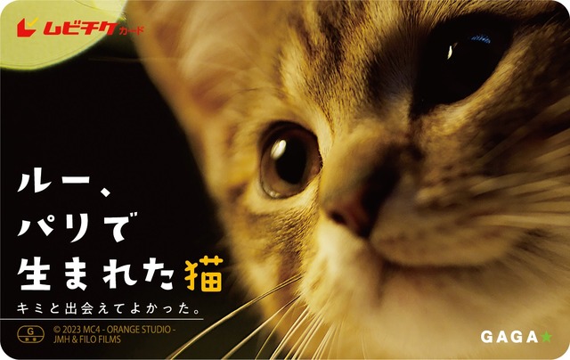 『ルー、パリで生まれた猫』ムビチケ　© 2023 MC4–ORANGE STUDIO–JMH & FILO Films