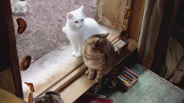 『ルー、パリで生まれた猫』　© 2023 MC4–ORANGE STUDIO–JMH & FILO Films