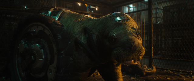 『ガーディアンズ・オブ・ギャラクシー：VOLUME 3』© 2023 MARVEL