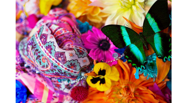 photo by mika ninagawa