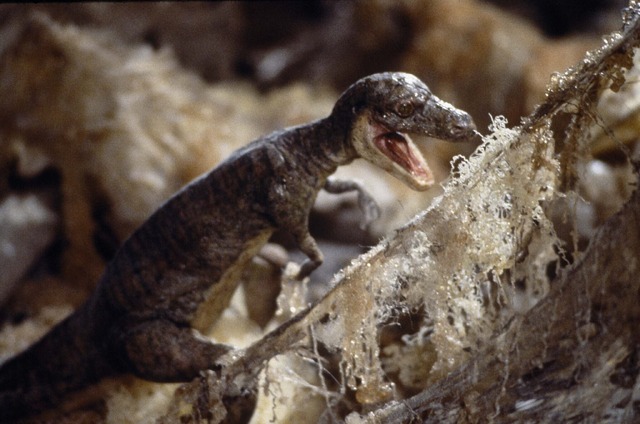 『スーパーマリオ 魔界帝国の女神 4K レストア版』(C) 1993-PATHE FILMS